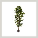 Fiddle Leaf Faux Tree Click to shop