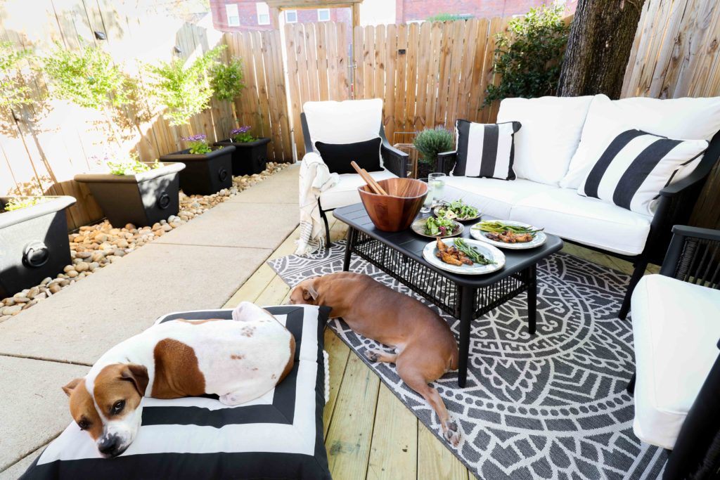 Rashida Banks Outdoor Space with Two Dogs