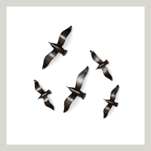 decorative birds wall art